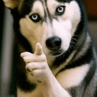 12 mars : Doing The&nbsp;Unstuck